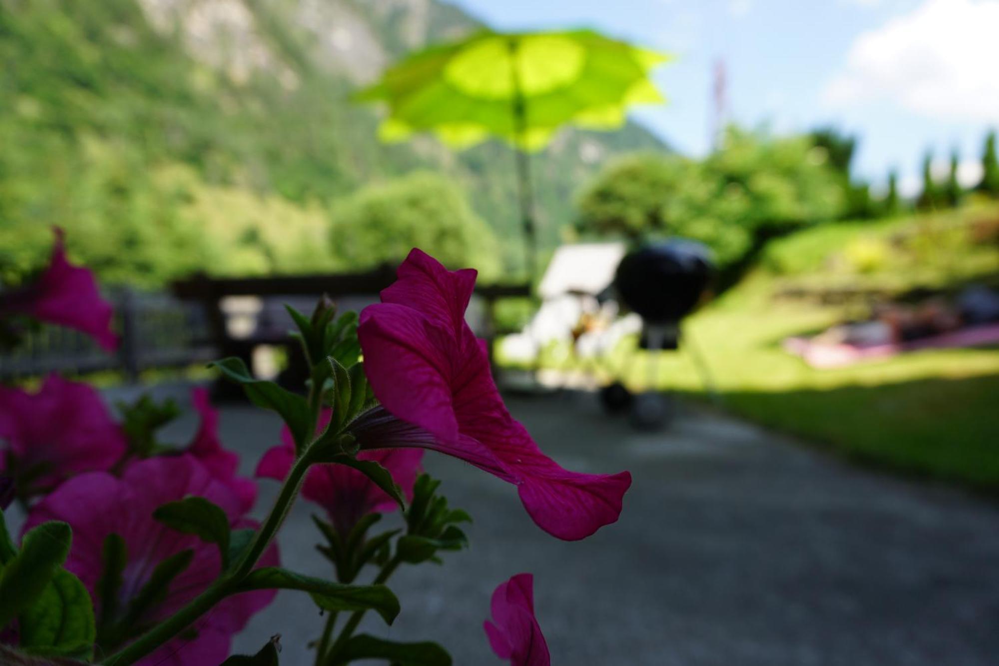 Ferienwohnung Aignerhof Schellgaden Esterno foto